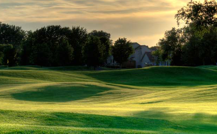 Golf course green with trees 