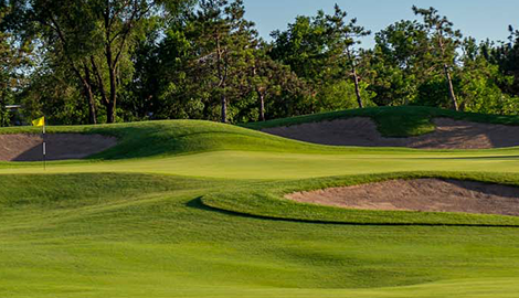 Bunkers on golf course green